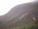 061002-chausu.jpg