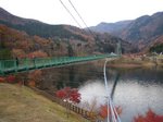 061123-momiji.jpg