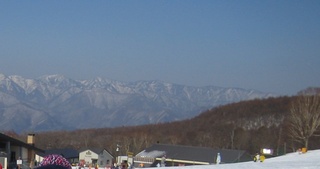 100221edelweiss.jpg