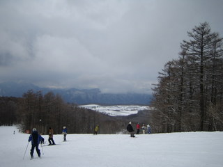 100228edelweiss.JPG