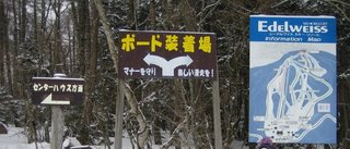 100307edelweiss.jpg