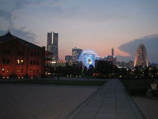 100724_akaranga.jpg