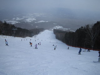 110213_edel1.jpg