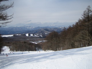 110306_edel.jpg